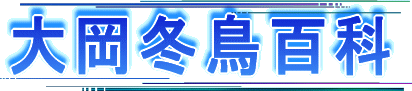 剪~S 
